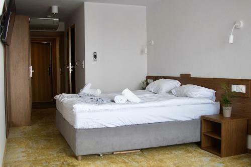 Hotel Amber Port