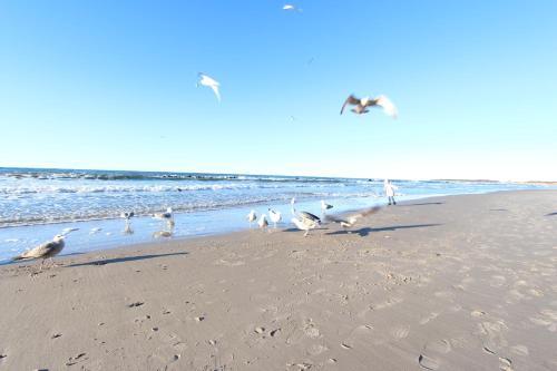 Baltic Resort Apartamenty A04