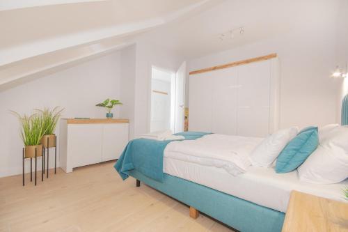 Apartament Nord 68
