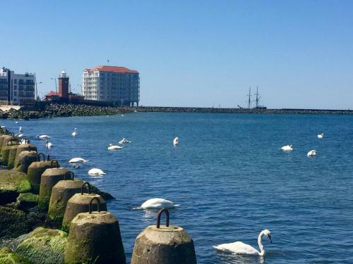 Ca?oroczny Apartament Dar?�wko Wschodnie