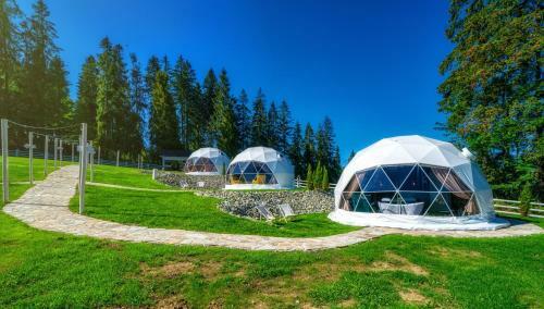 Mountain Glamp