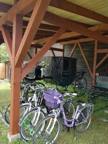 Bed & Breakfast Kamminland