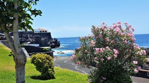 Apartamento Ocean Panorama
