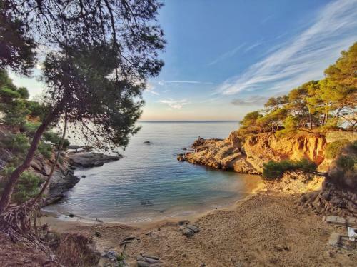 Apartament Marina