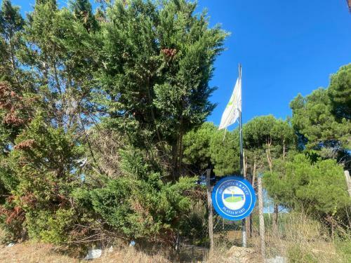 Apartamento Apto Las Palmeras