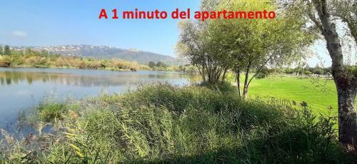 Apartamentos Turartic