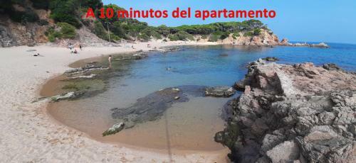 Apartamentos Turartic