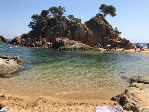 Excepcional Apartamento 1� L�nea de Mar Platja D'aro Elypalace 10-2