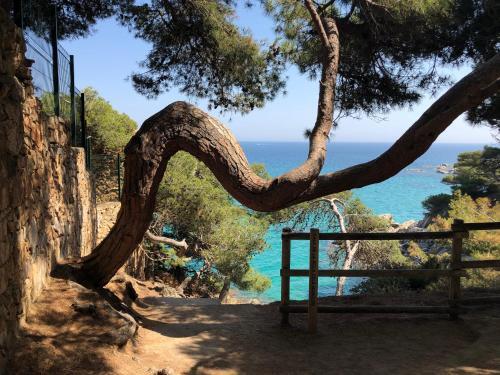 Excepcional Apartamento 1� L�nea de Mar Platja D'aro Elypalace 10-2