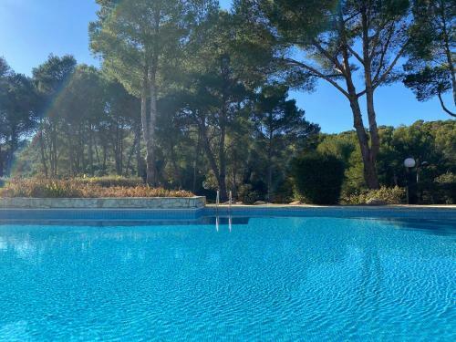 Acogedor Apartamento Con Piscina En Tamariu