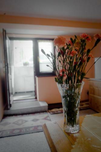 Apartamento Pokoje Go?cinne Mr�z Krystyna