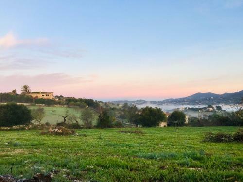 Apartamento Finca Oase - App.tejado
