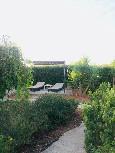 App. Grande - Osten Mallorca - Adults Only Apartments