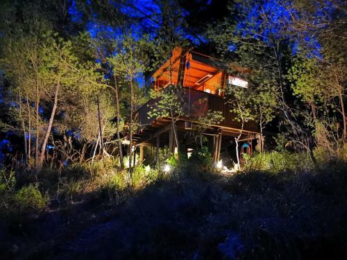 Lodge Buena Vista