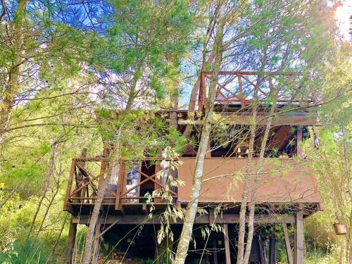 Lodge Buena Vista