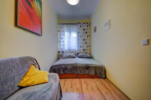 Apartament Zynu?