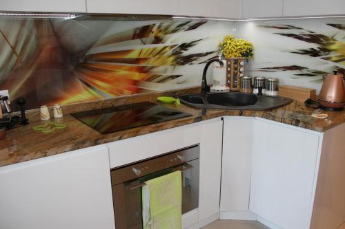 Rezydencja Tatry - Apartament Chamerion 1