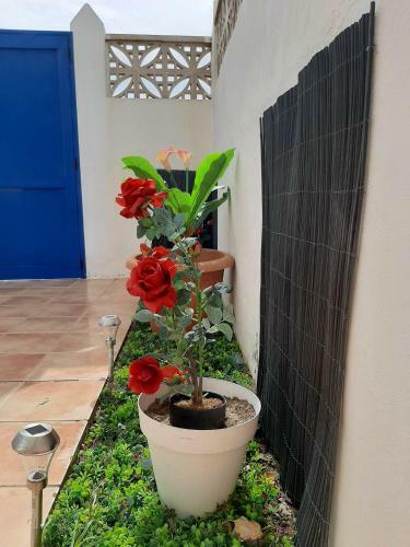 Apartamento Independiente Luz