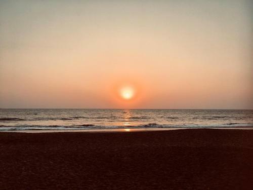 Paradise Ocean View