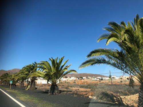 Apartamento Holamigos Costa Calma