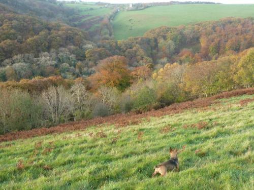 Bed & Breakfast Wilsham Farm