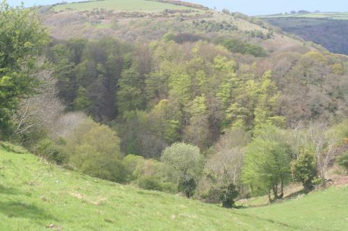 Bed & Breakfast Wilsham Farm