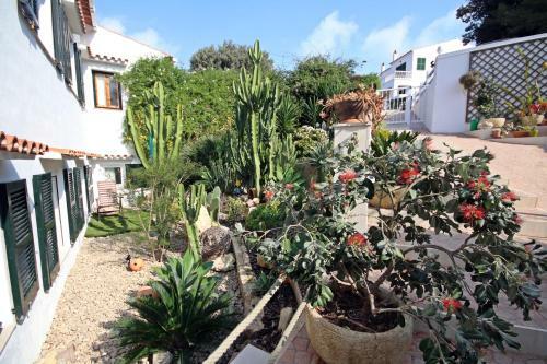 Apartamento Casa Dieter