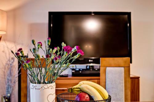 Apartament Pod Nosalem