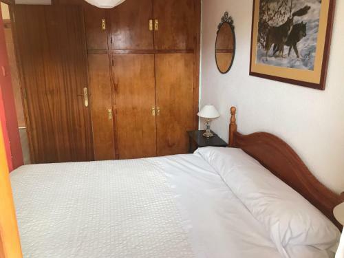 Apartamento C�ntrico En Formigal