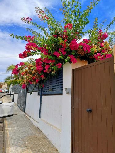 Apartamento Juana En Monaco