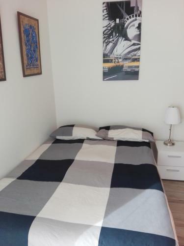 New "domus Sant'elmo"
