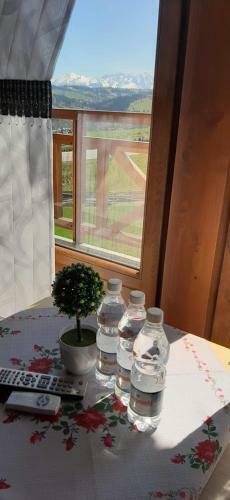 Szostak Apartament