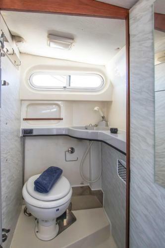 Sealine Boat