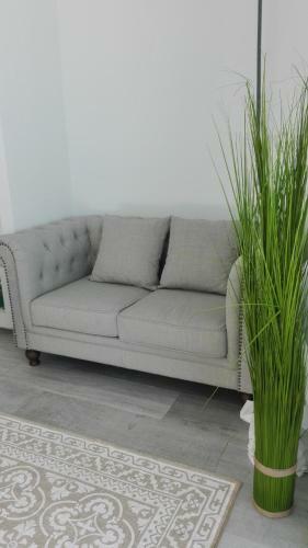 Apartamento Calero