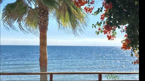 Mi Capricho B16 Beachfront Apartment