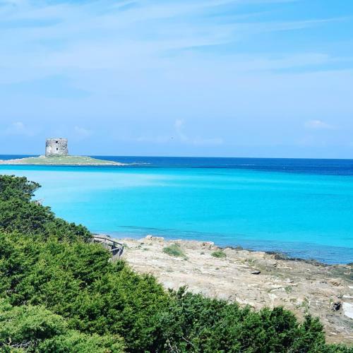 Appartamento Sole E Mare