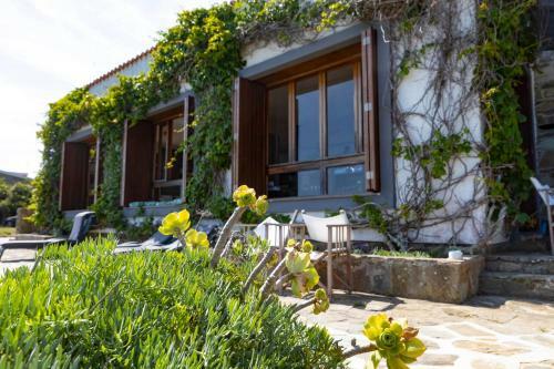 Hostal Villa Curiazzi