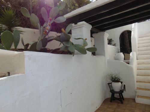 Apartamentos Miramar II