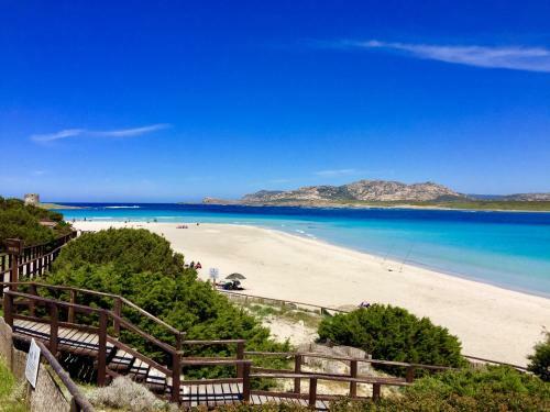 Maestrale