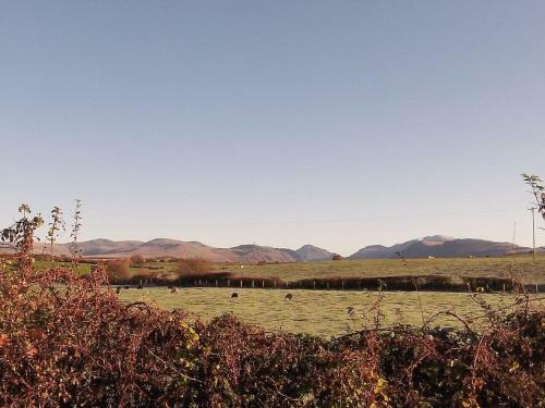 Whitegate
