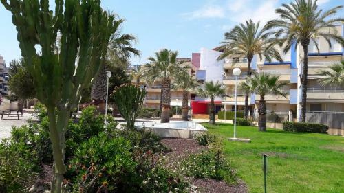 Apartamento Cabo Roig Del Sol