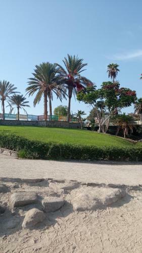 Apartamento Perla Canaria