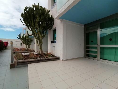 Marianela Apartment