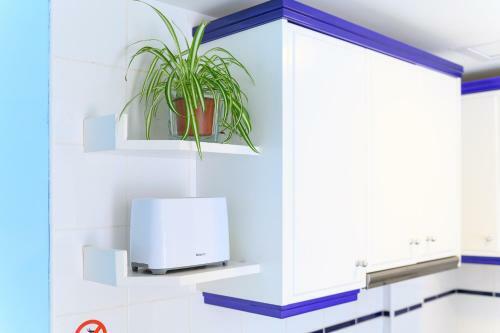 Marianela Apartment