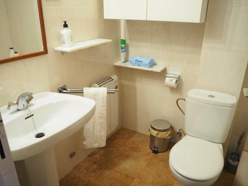 Apartament A La Molina, Grans Vistes, Llar de Foc