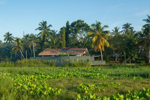 Villa Budtt Farm