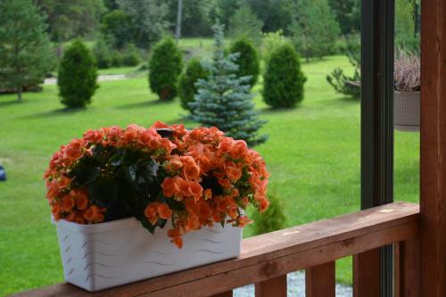 N�mme Holiday Home