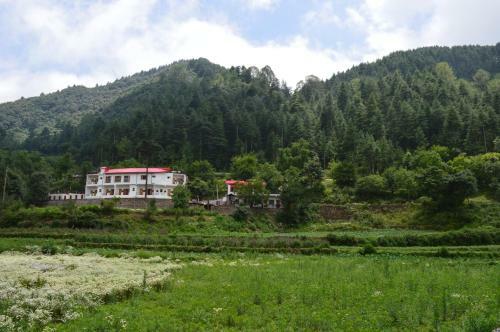 Hotel Burans