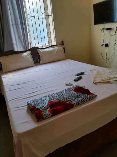 Hostal Anant Guest House