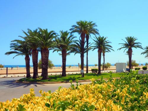 Apartment Gran Reserva-10